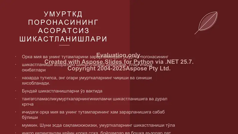 Product slide 2