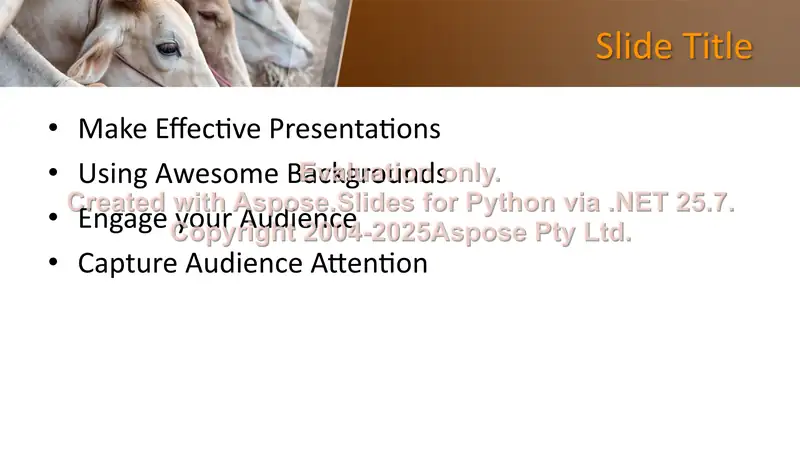 Product slide 2