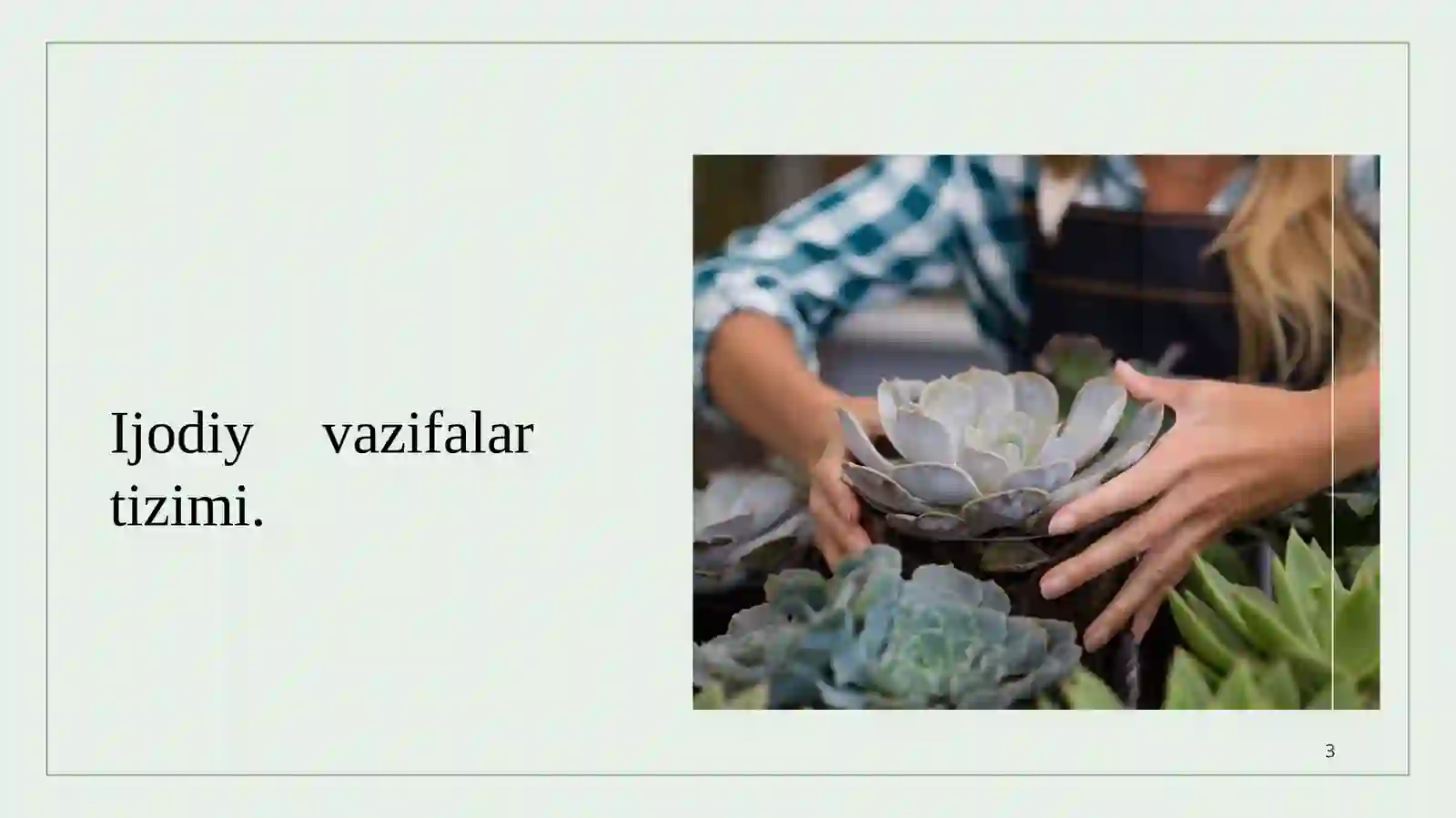 Product slide 3