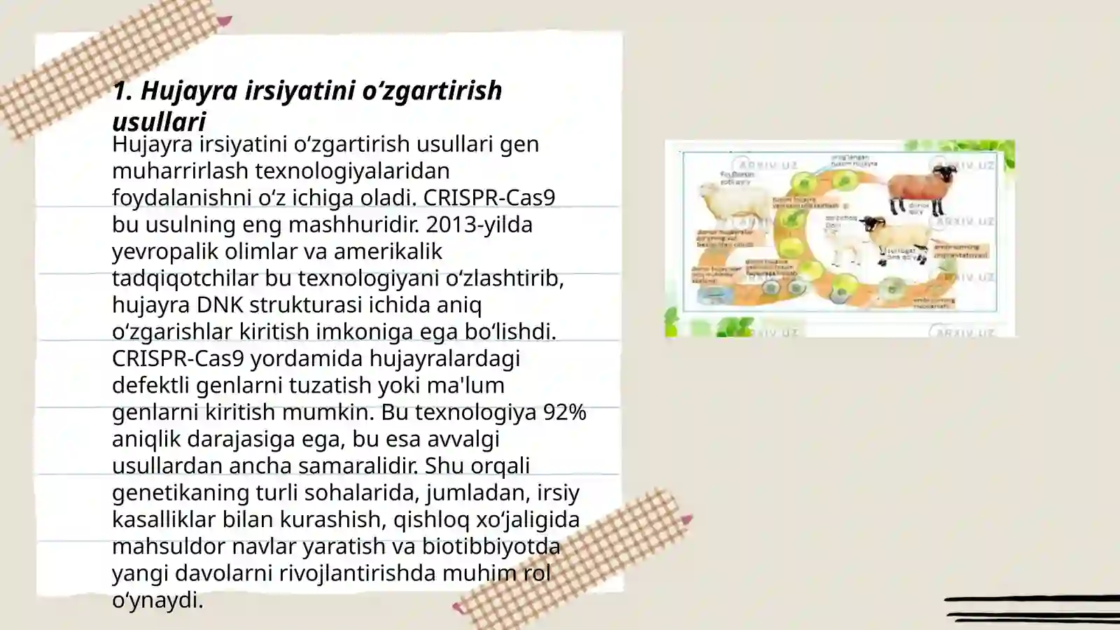 Product slide 3
