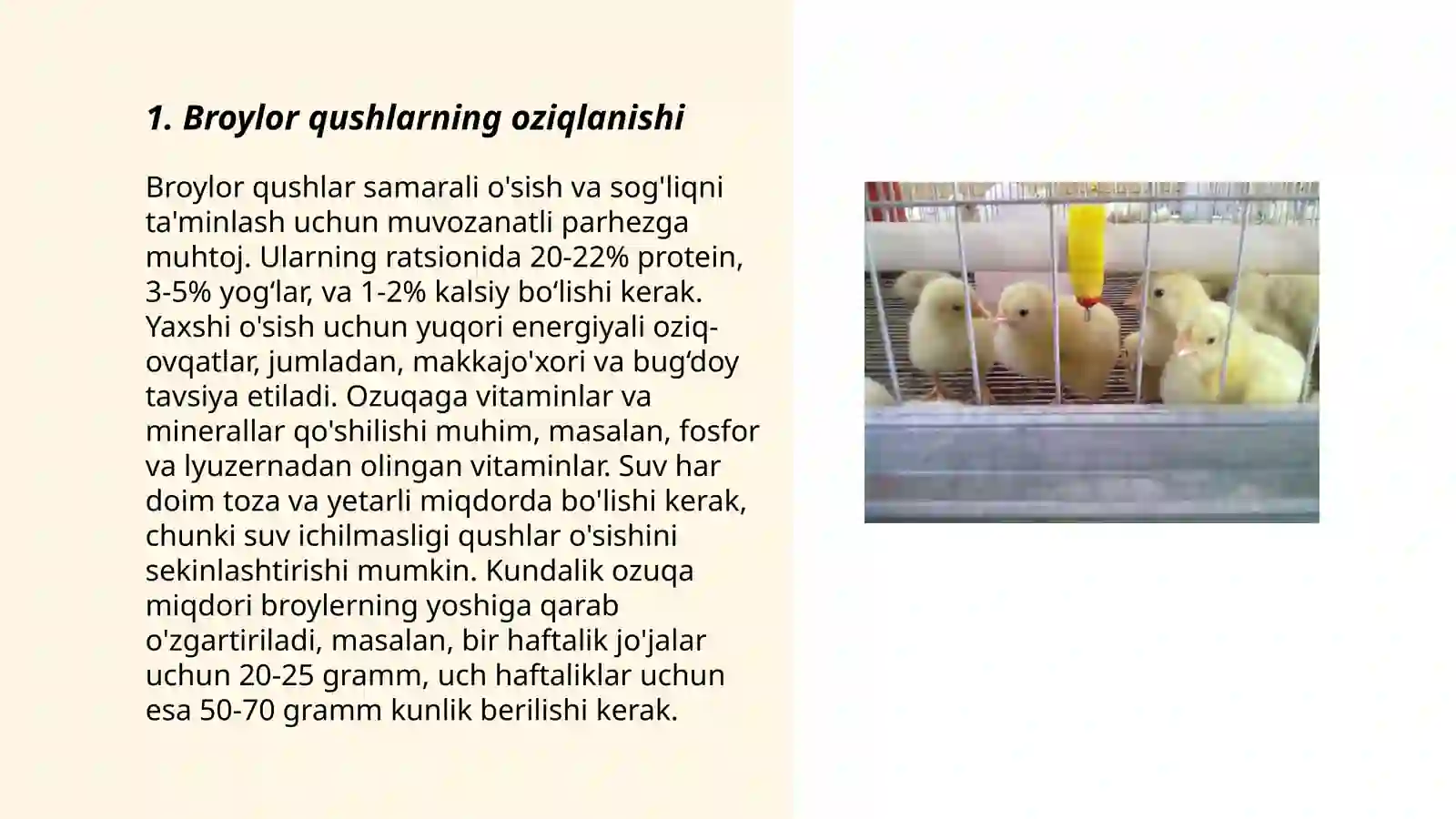 Product slide 3