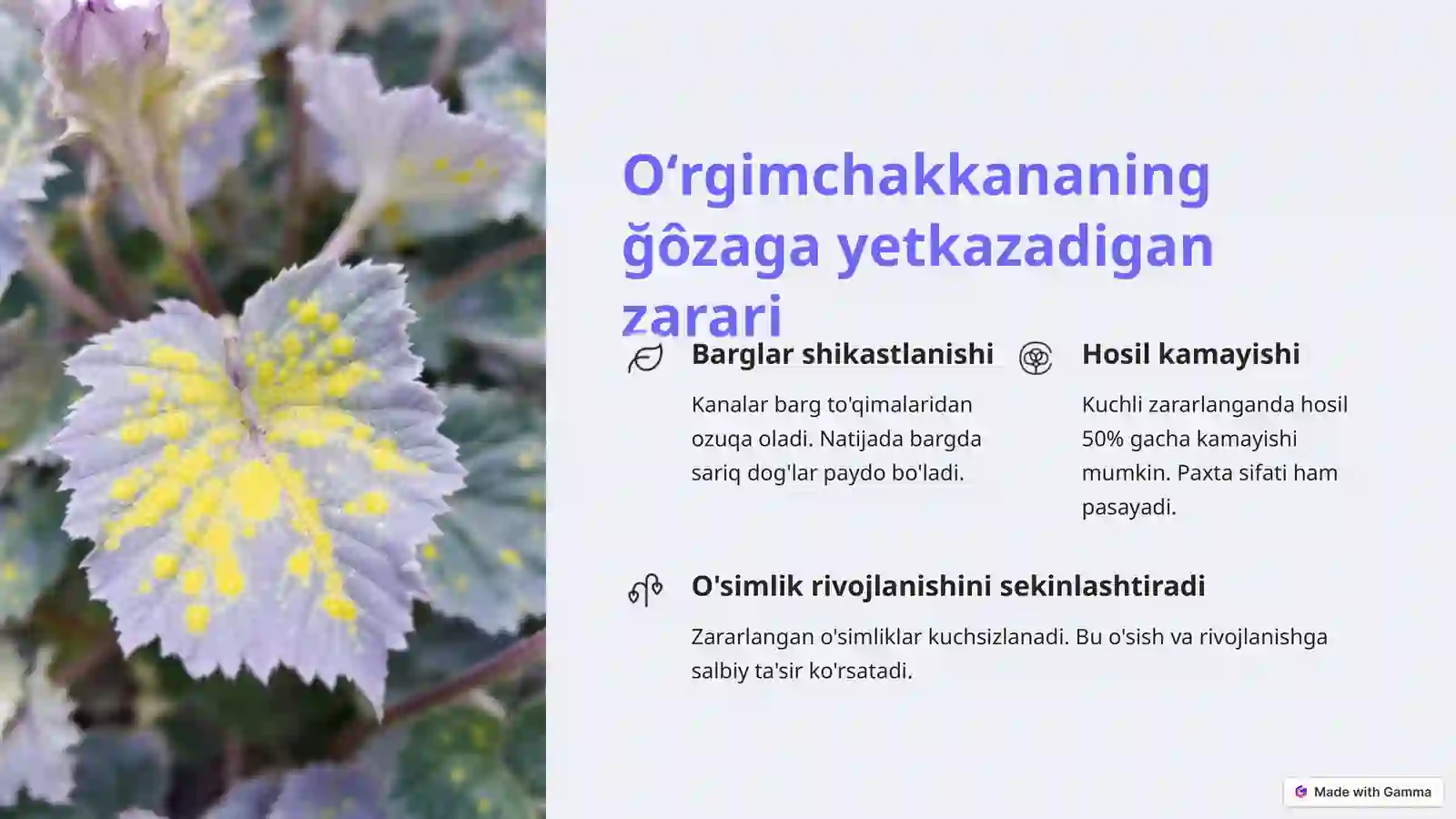 Product slide 3