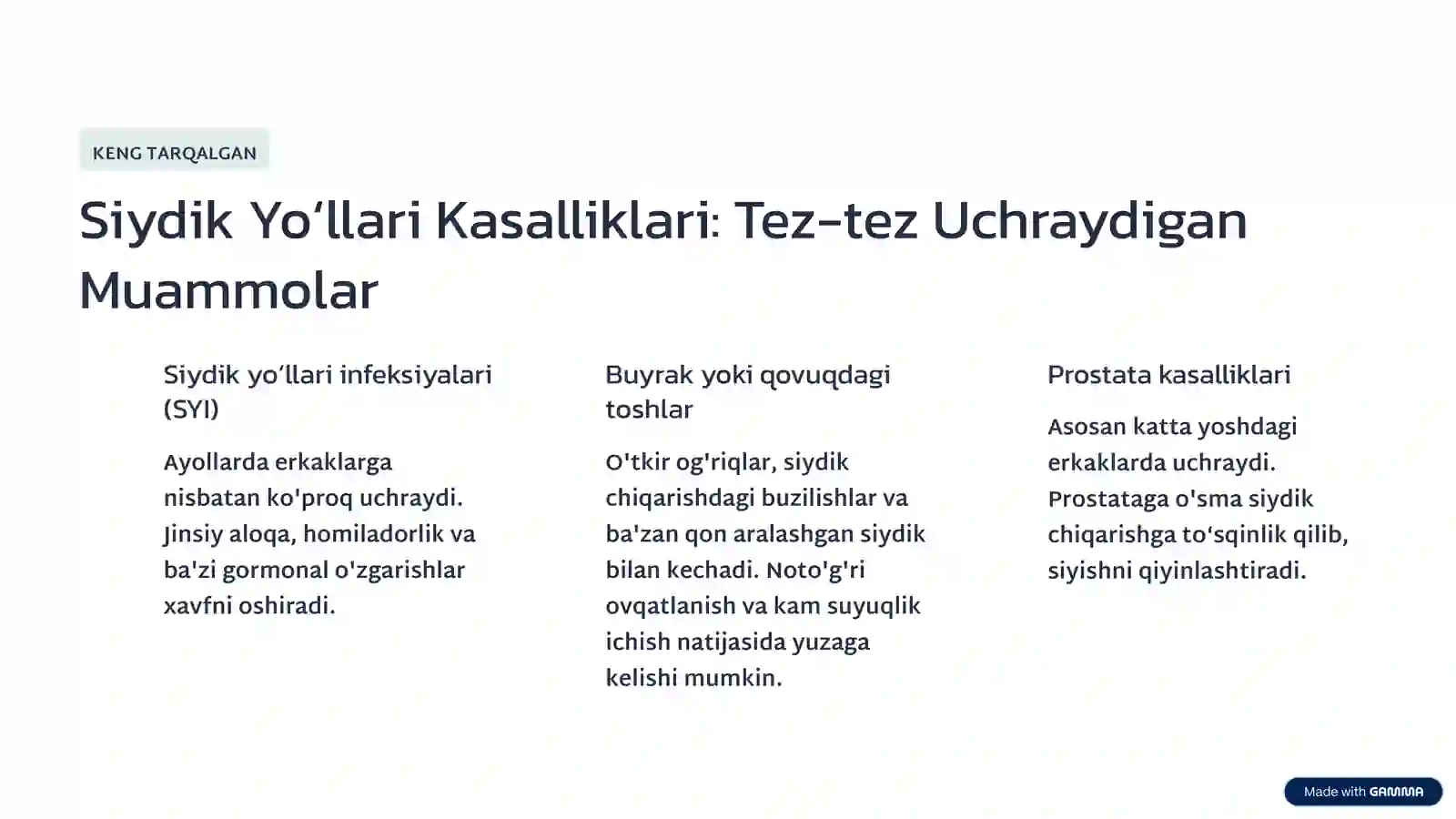 Product slide 3