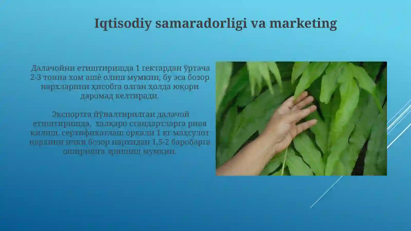 Product slide 4