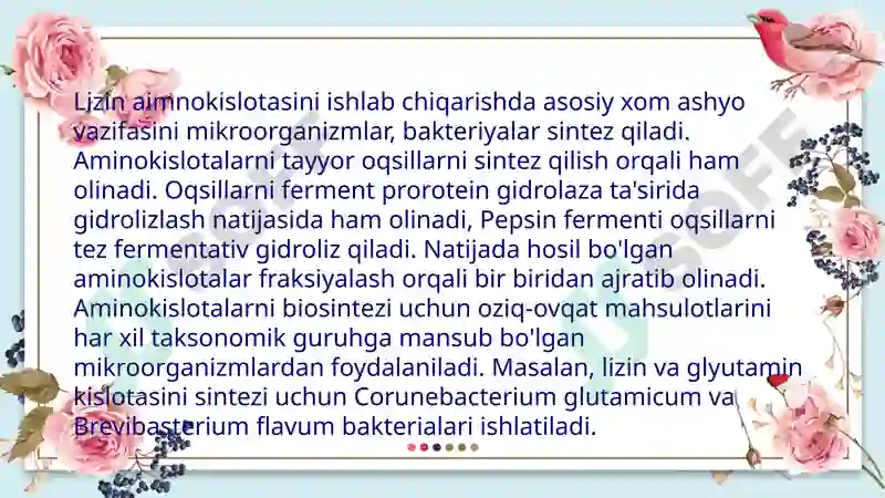 Product slide 5