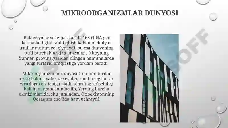 Product slide 6