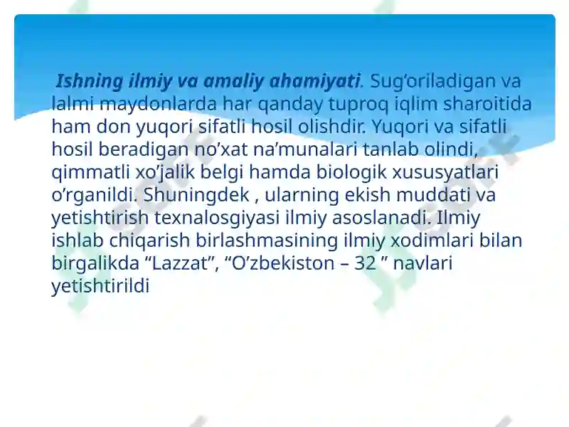 Product slide 7