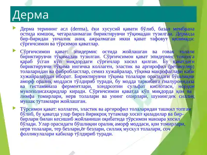 Product slide 7
