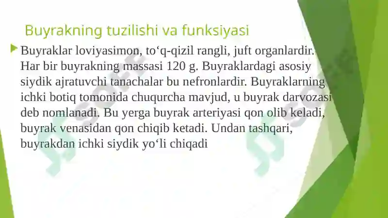 Product slide 8