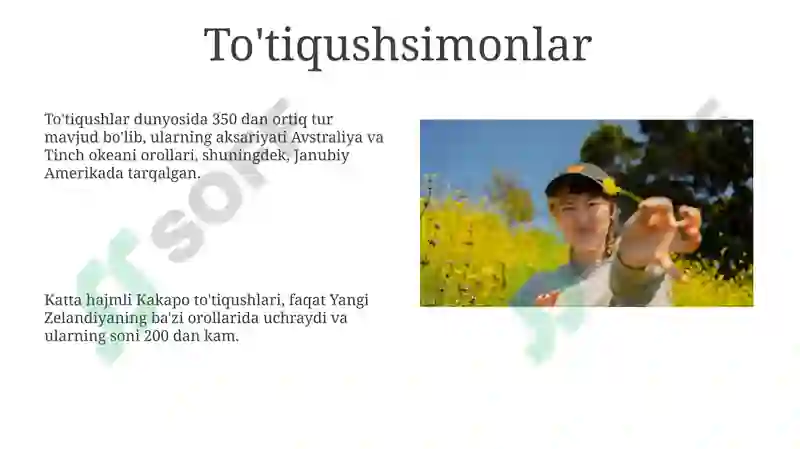 Product slide 8