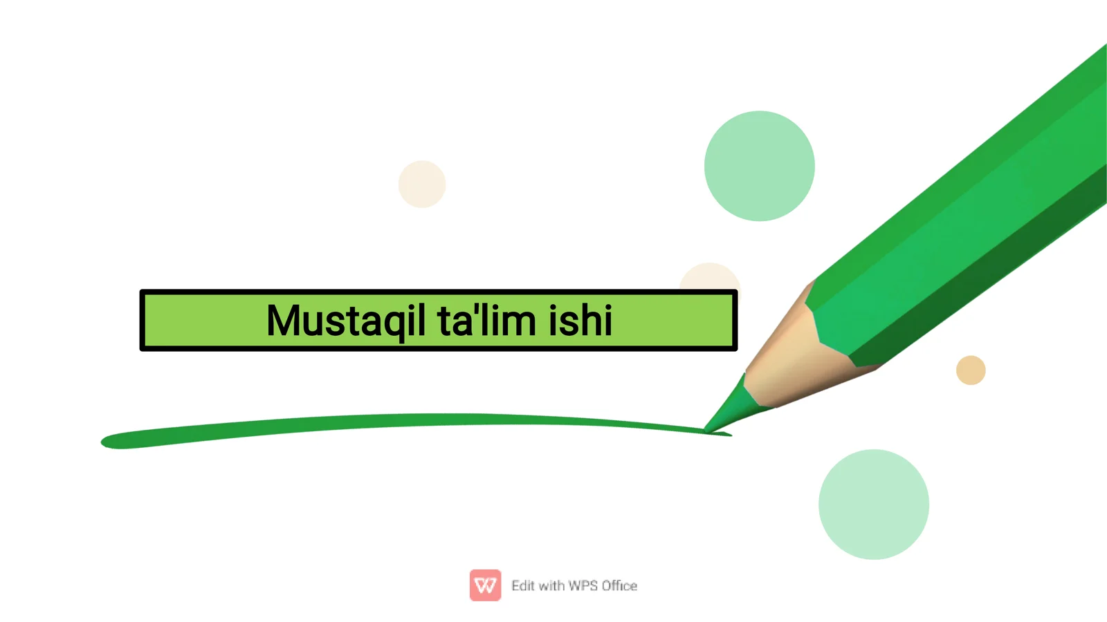 Mustaqil ta'lim ishi