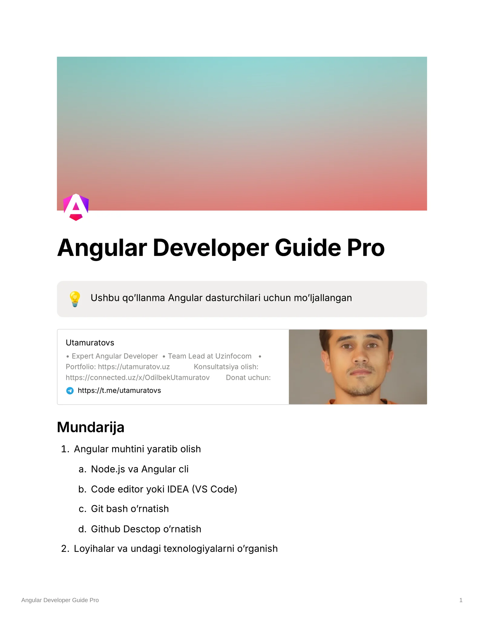 Angular Developer Guide Pro v1