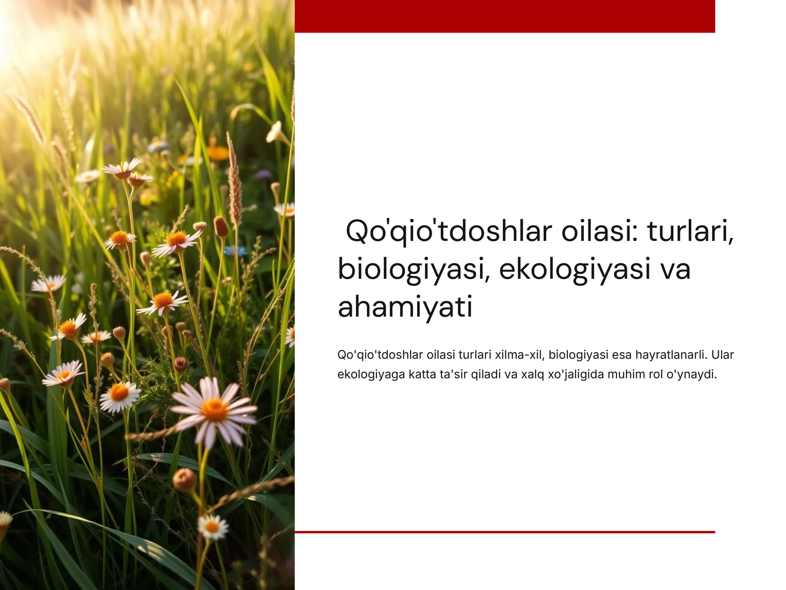 Qo'qio'tdoshlar oilasi: turlari, biologiyasi, ekologiyasi va ahamiyati