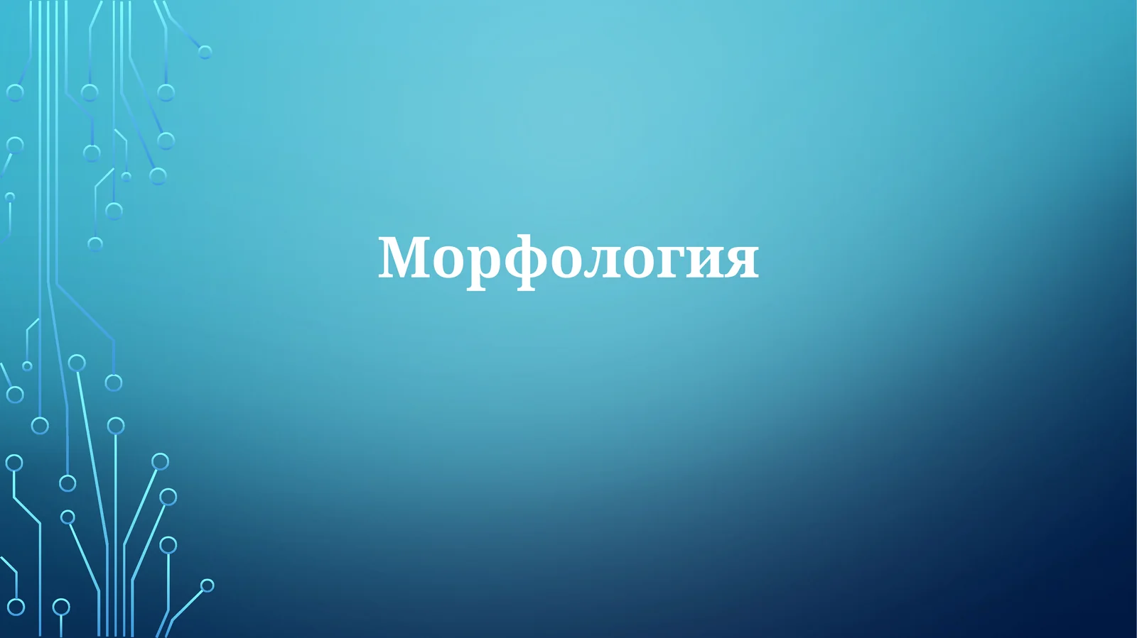 Морфология