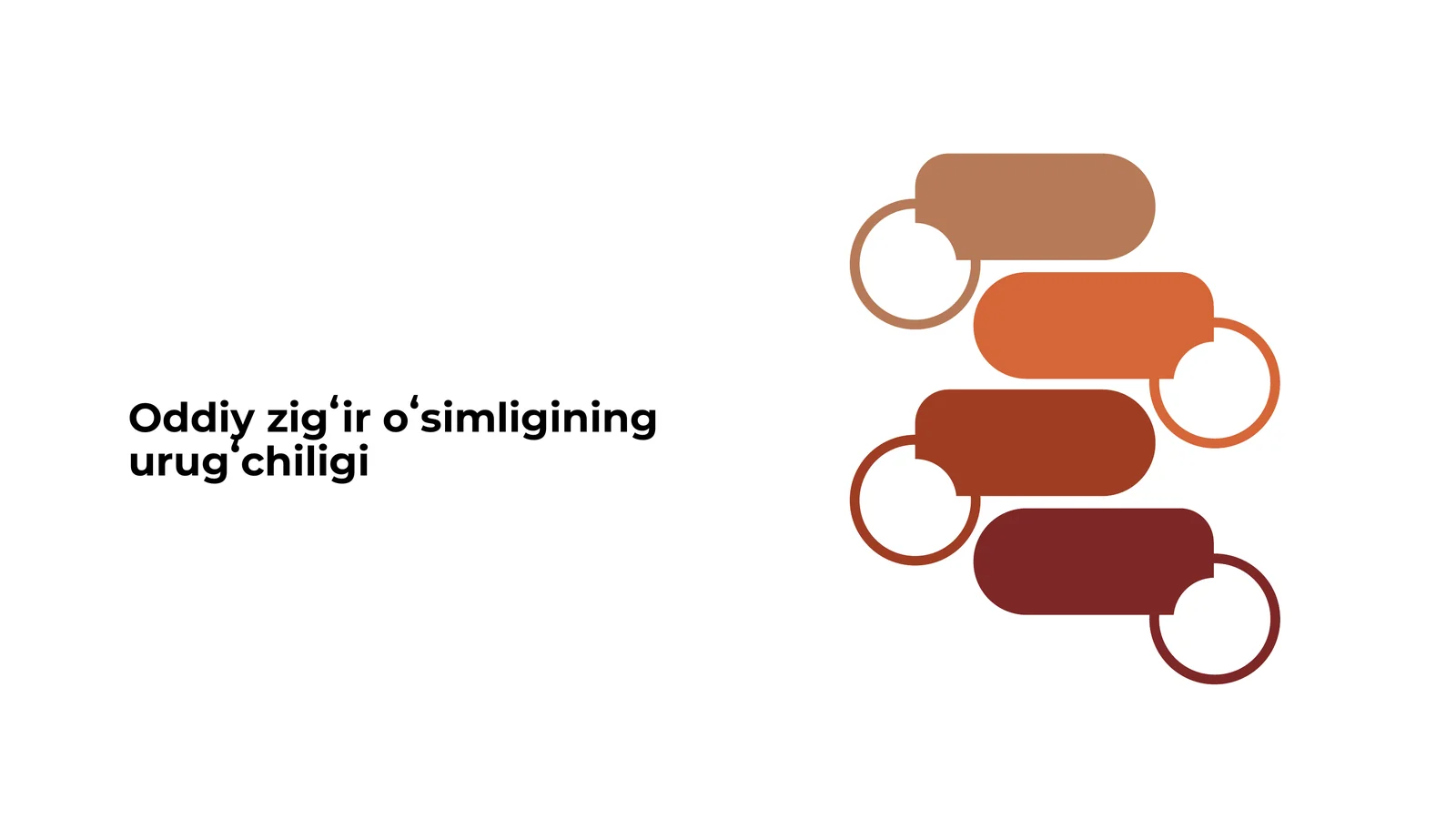 Oddiy zigʻir oʻsimligining urugʻchiligi