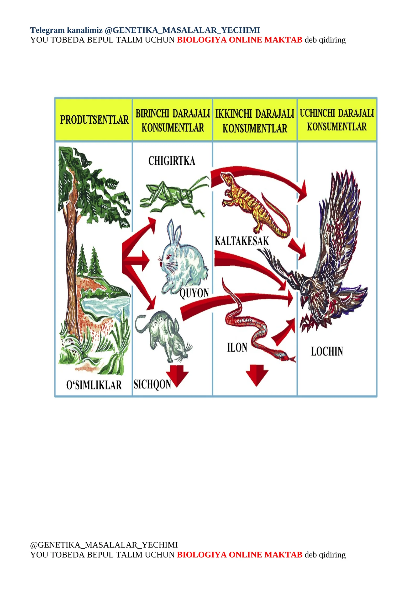 Ekologik piramida qonuniga oid