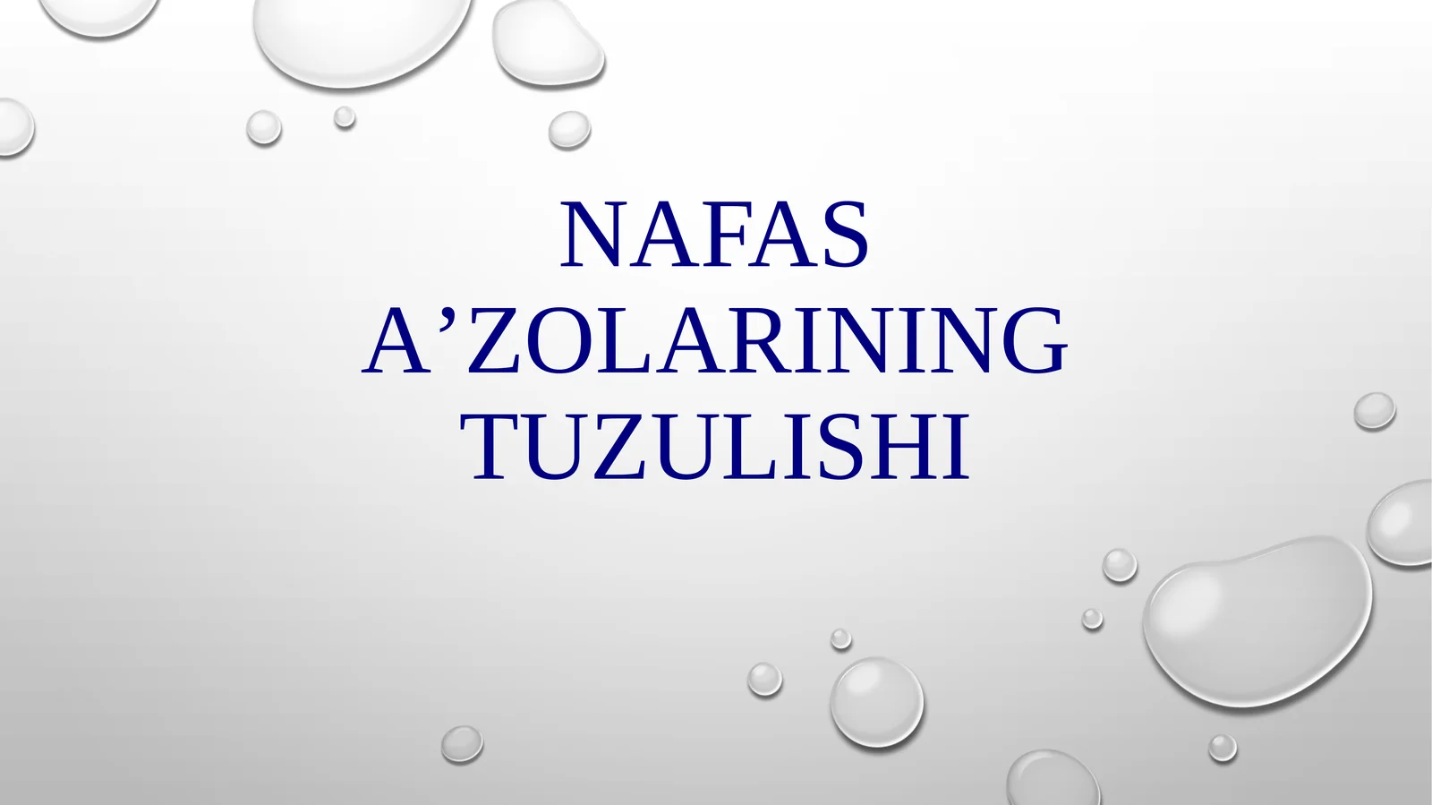 Nafas aʼzolarining tuzilishi