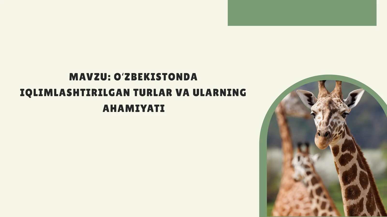OʻZBEKISTONDA IQLIMLASHTIRILGAN TURLAR VA ULARNING AHAMIYATI
