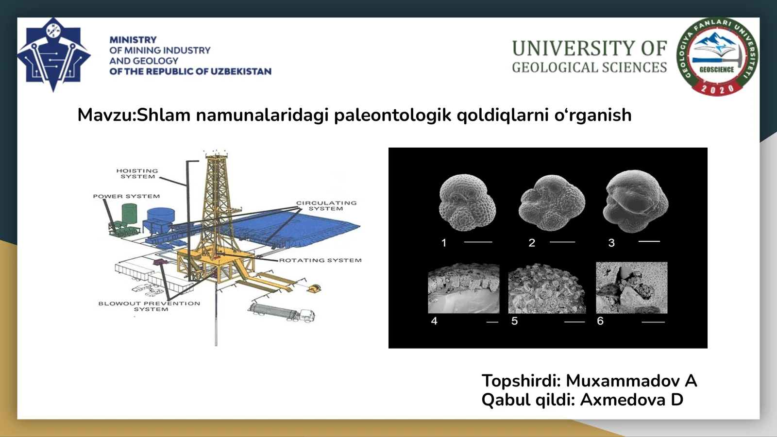 Mavzu:Shlam namunalaridagi paleontologik qoldiqlarni o‘rganish