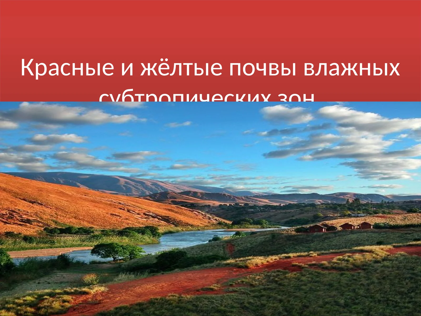 Почвы влажных субтропиков