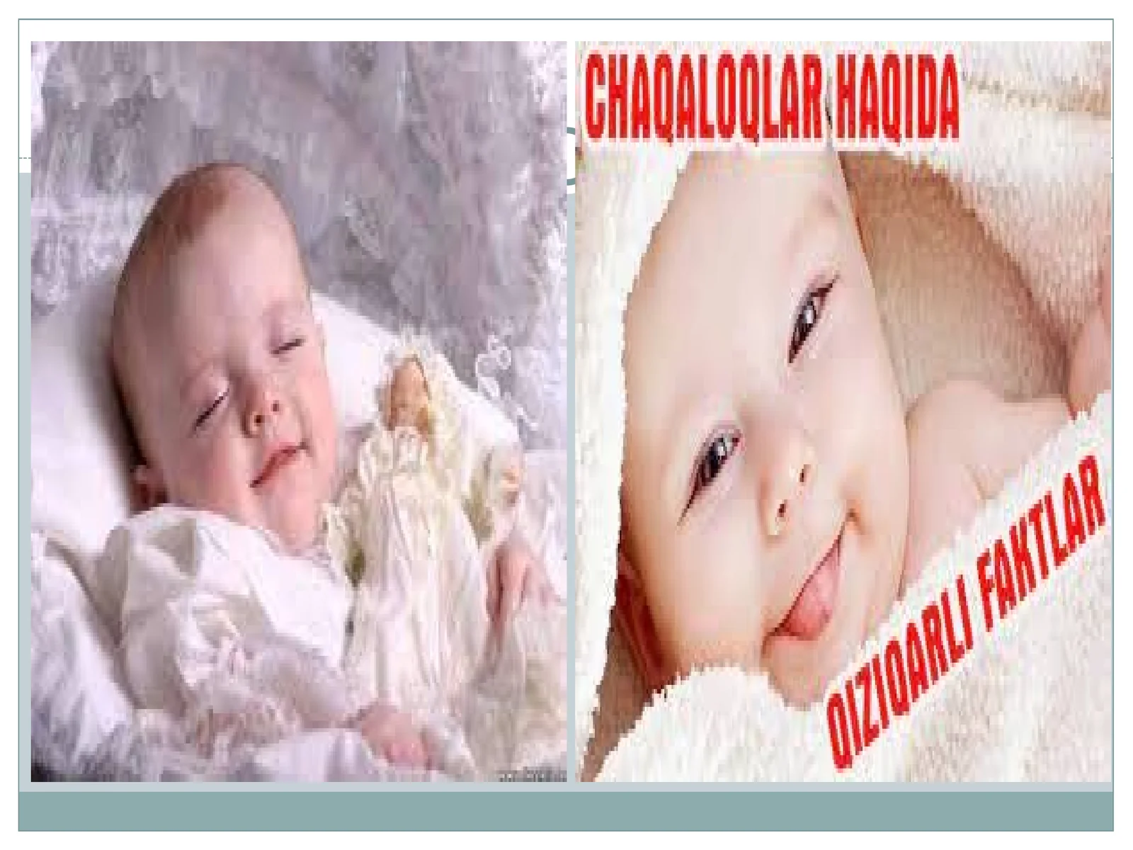 Ontogenezning ilk bosqichlari