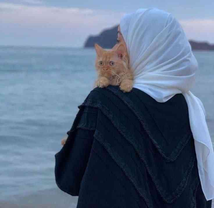 MADINA 258995