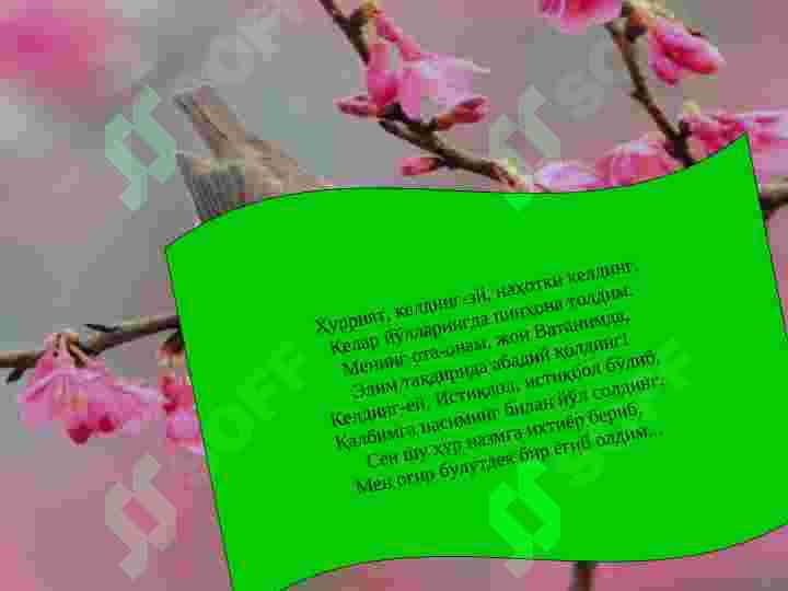 Product slide 5