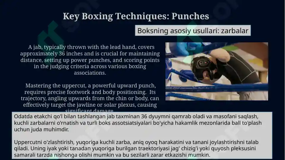 Product slide 8