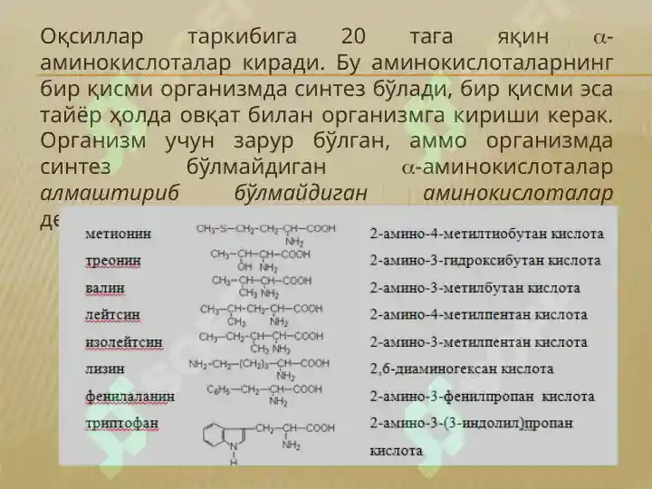Product slide 8