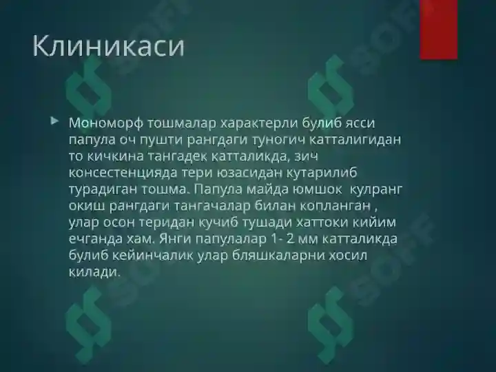 Product slide 7