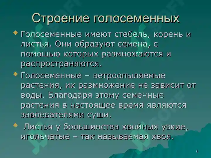 Product slide 6