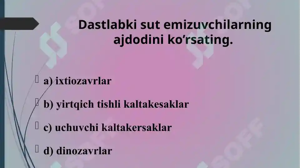 Product slide 5
