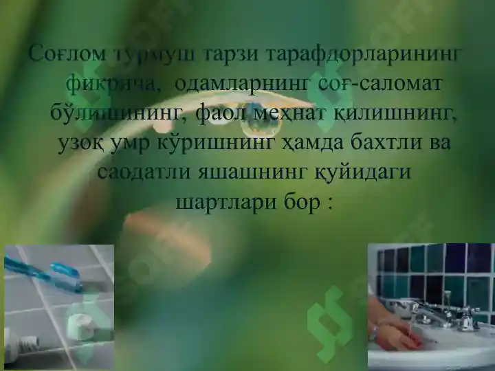 Product slide 8