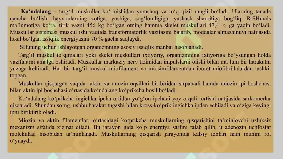Product slide 5