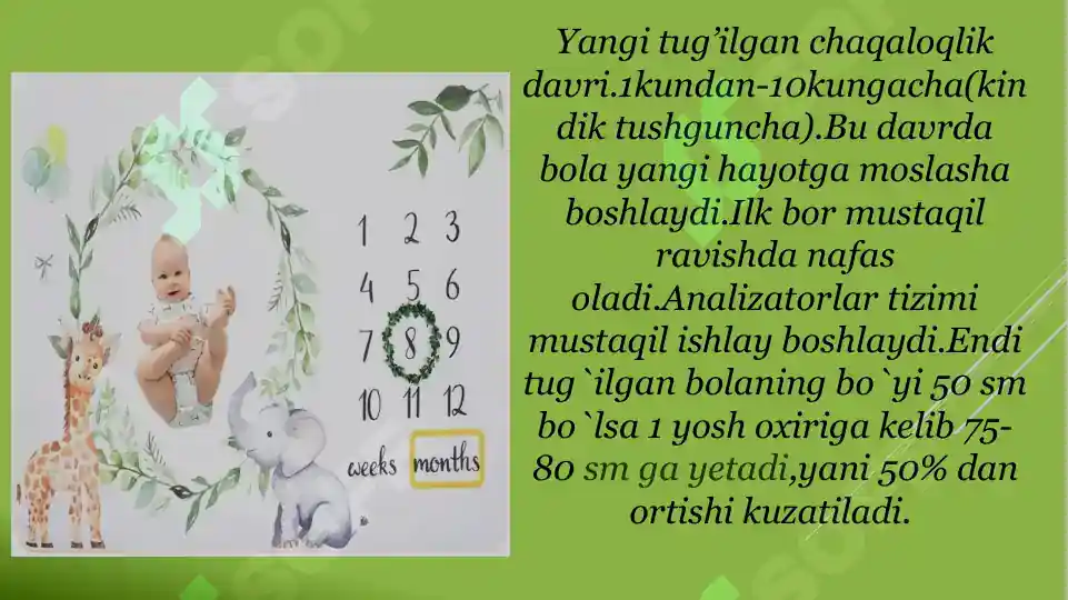 Product slide 8