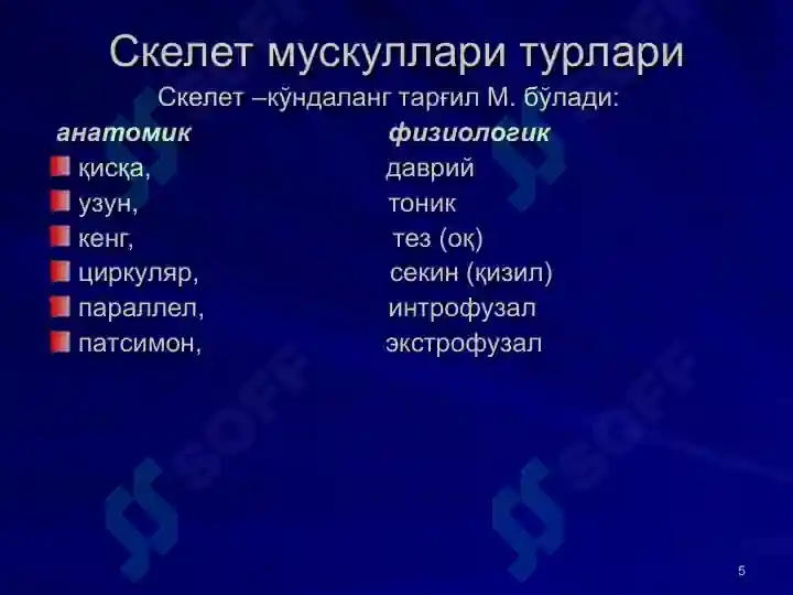 Product slide 5