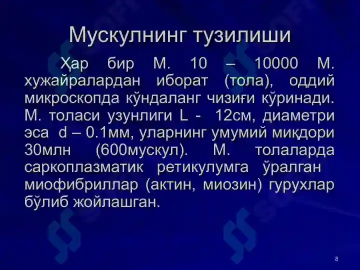 Product slide 8