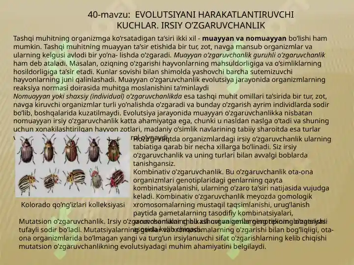 Product slide 8