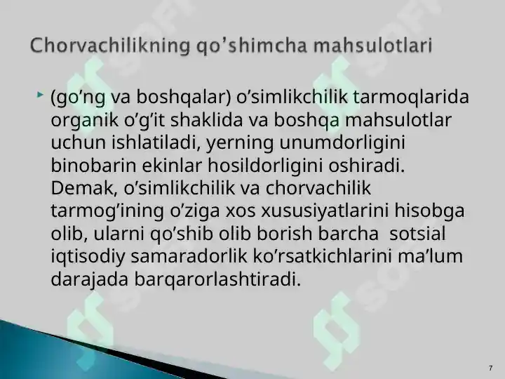 Product slide 7