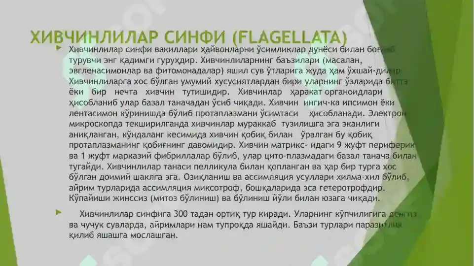 Product slide 6