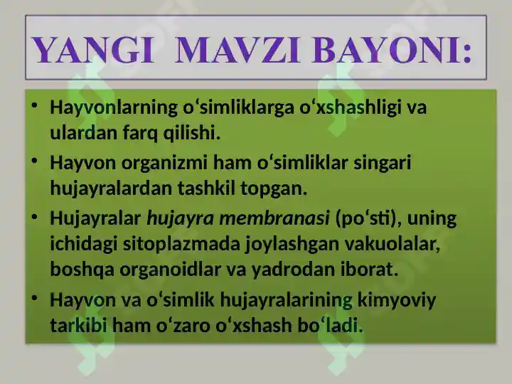 Product slide 6