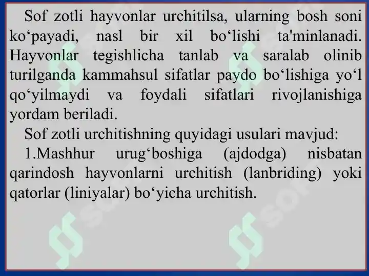 Product slide 6