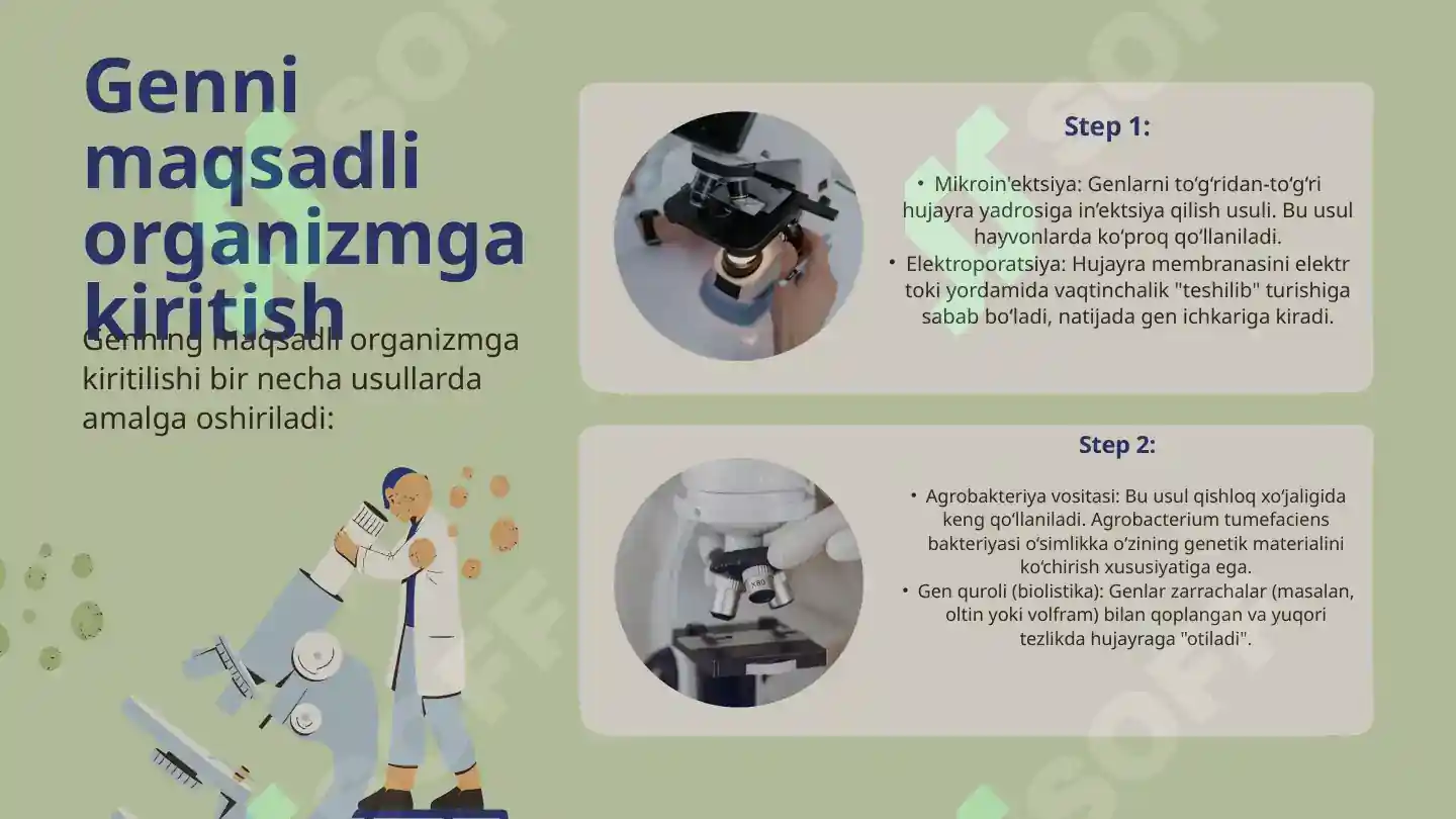 Product slide 7