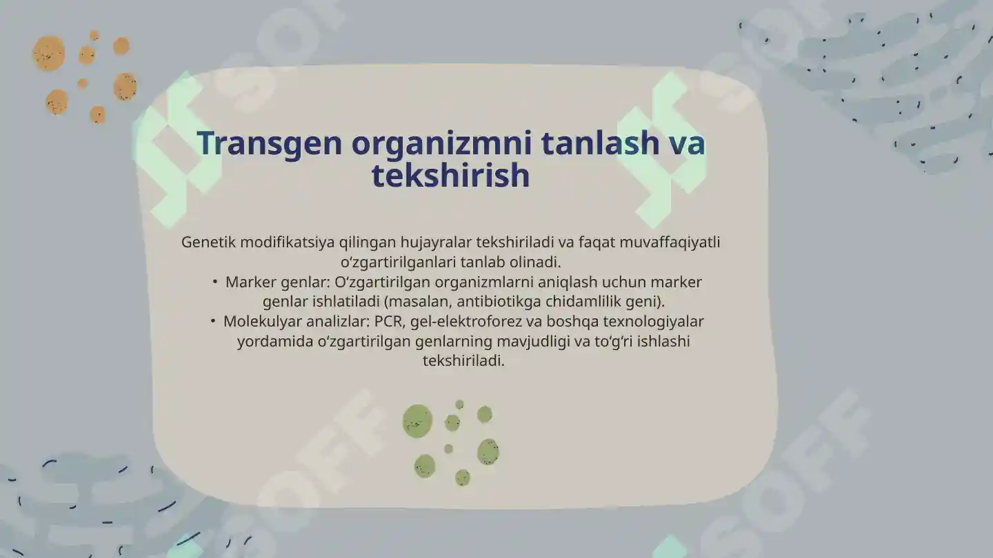 Product slide 8