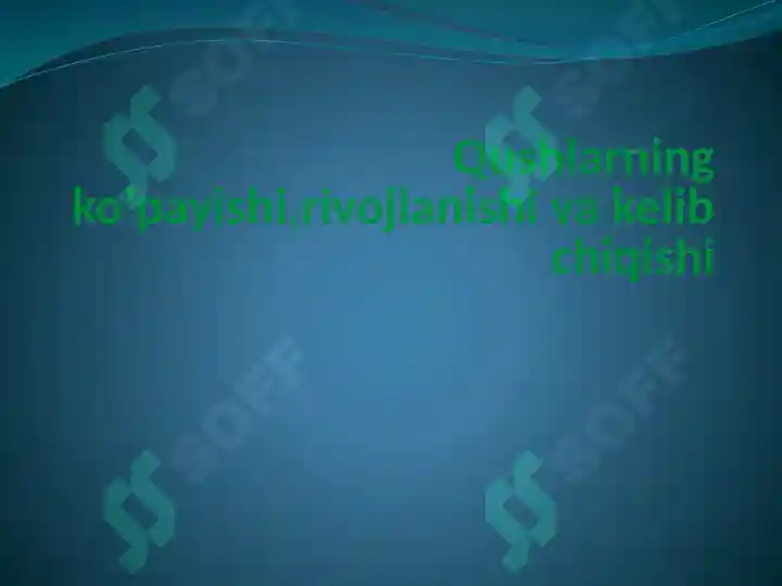 Product slide 5