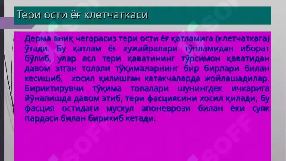 Product slide 7