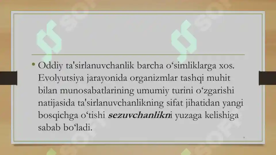 Product slide 7