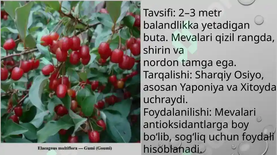 Product slide 7