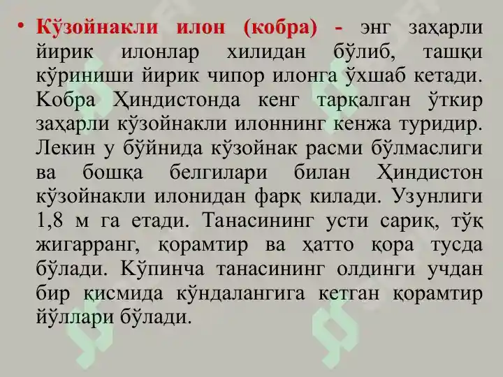 Product slide 7