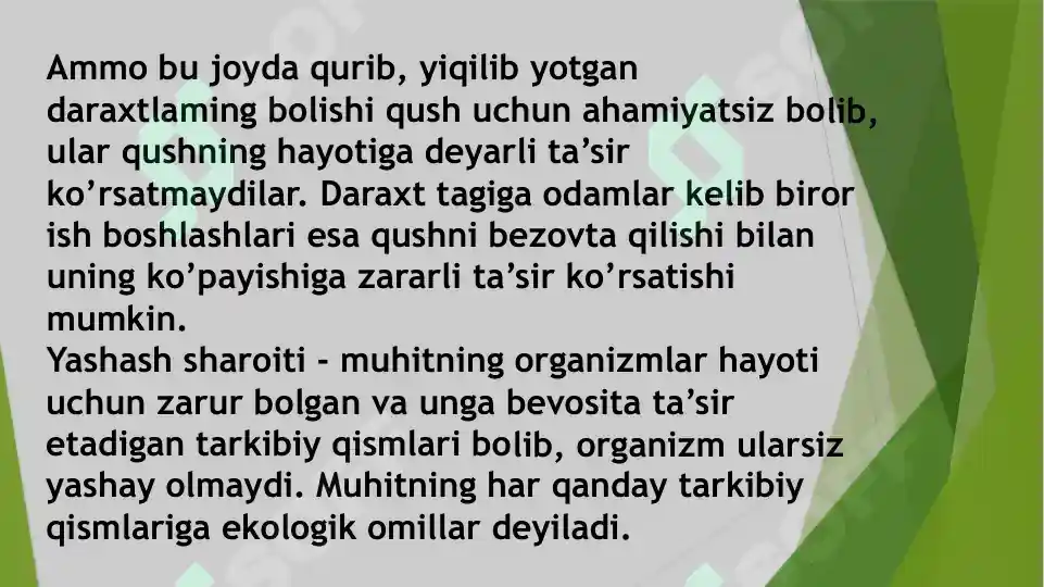 Product slide 6